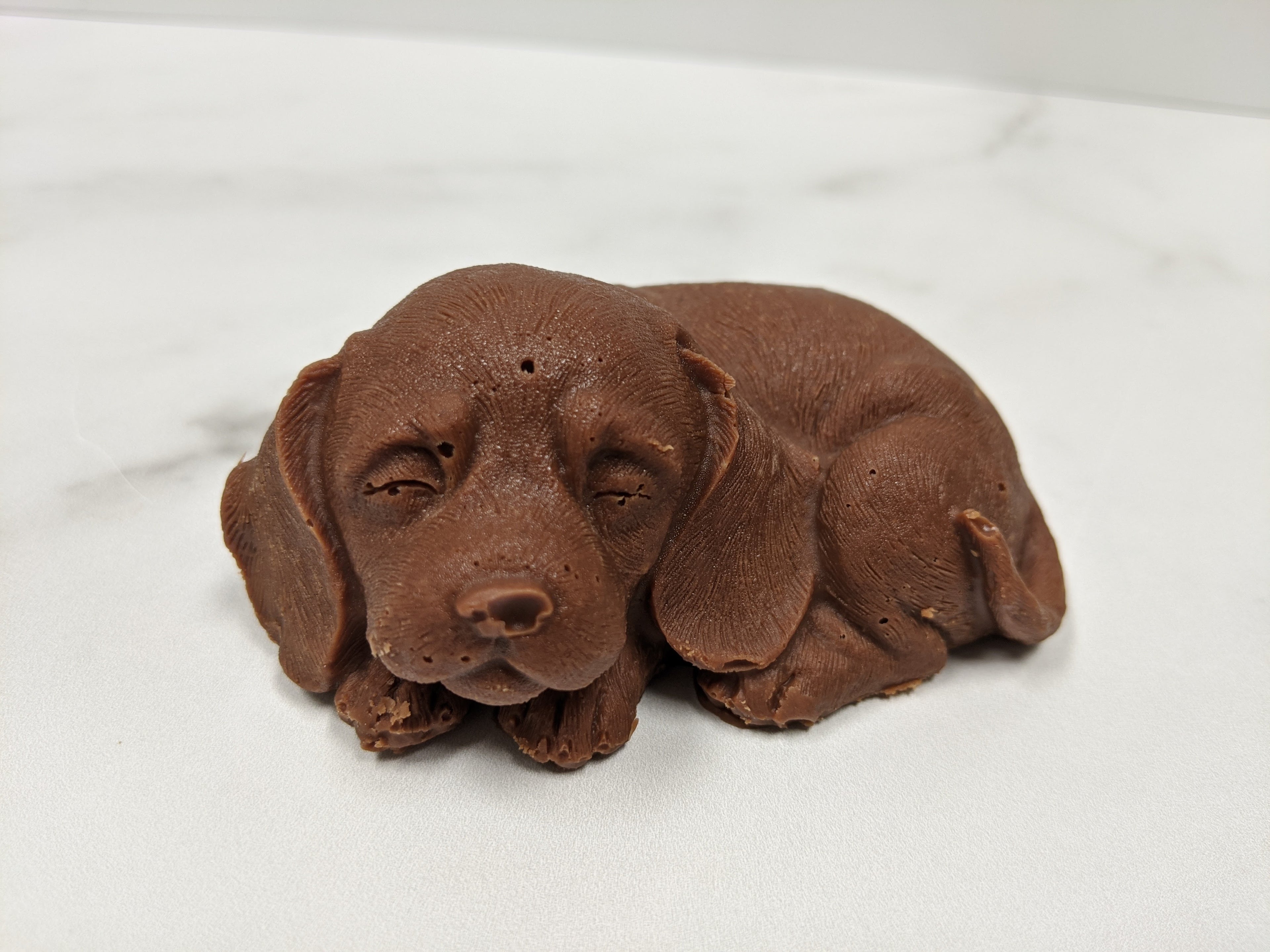 Chocolate Beagle