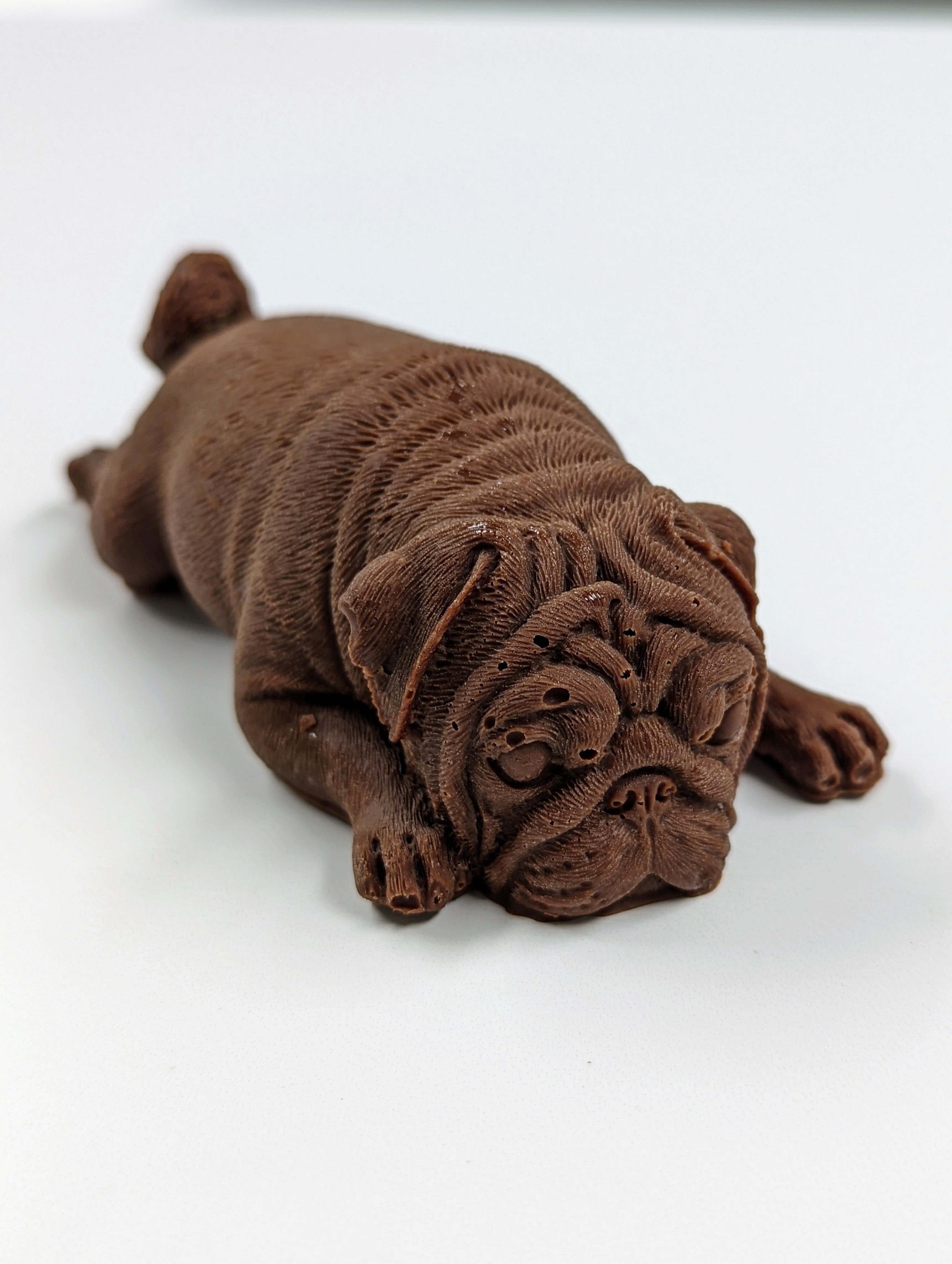 Chocolate Pug